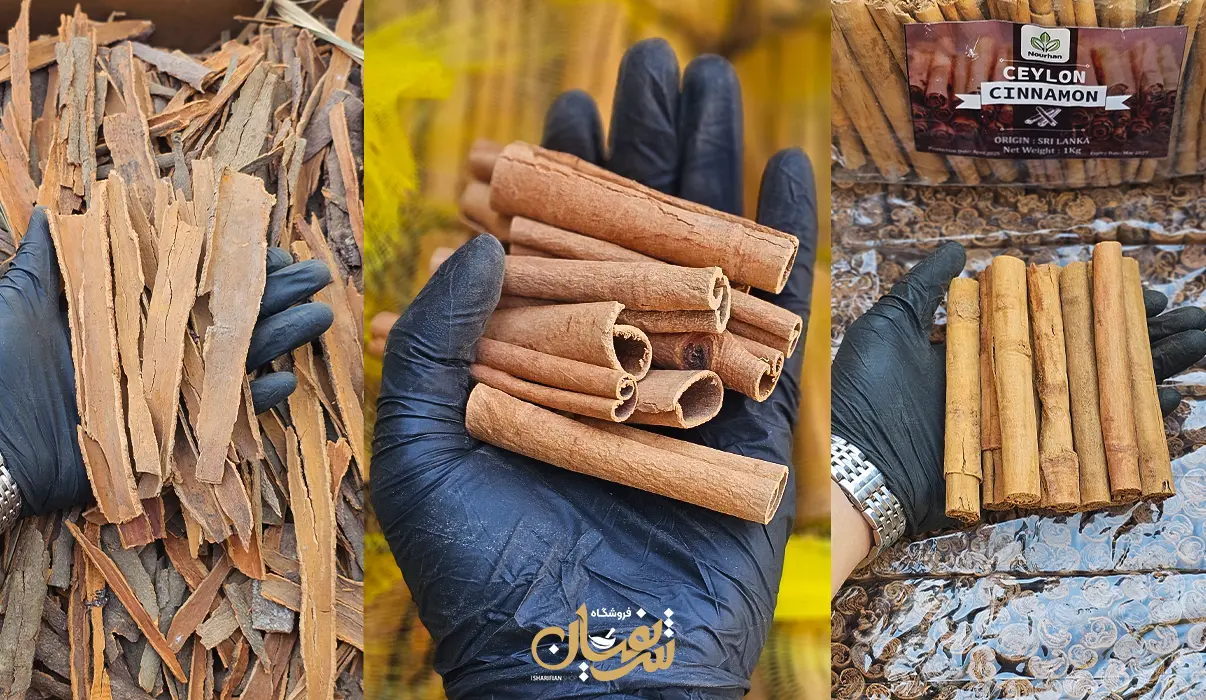 انواع دارچین