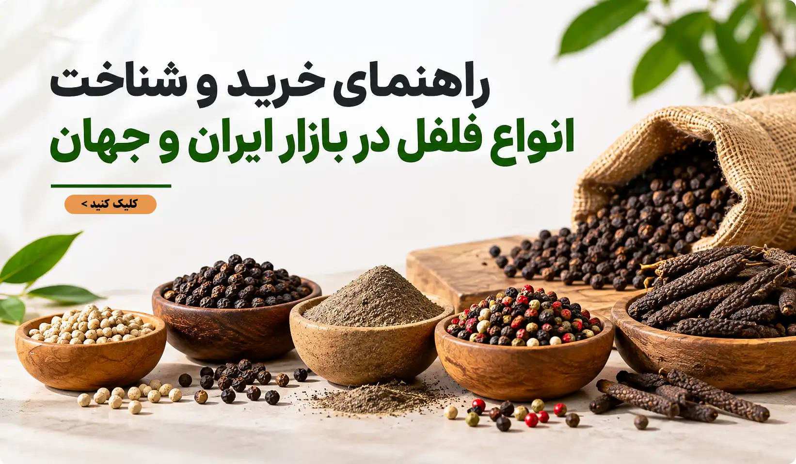 خرید ادویه به قیمت عمده امروز از فروشگاه آنلاین شریفیان با بیش از 80 سال سابقه 9 خرید ادویه