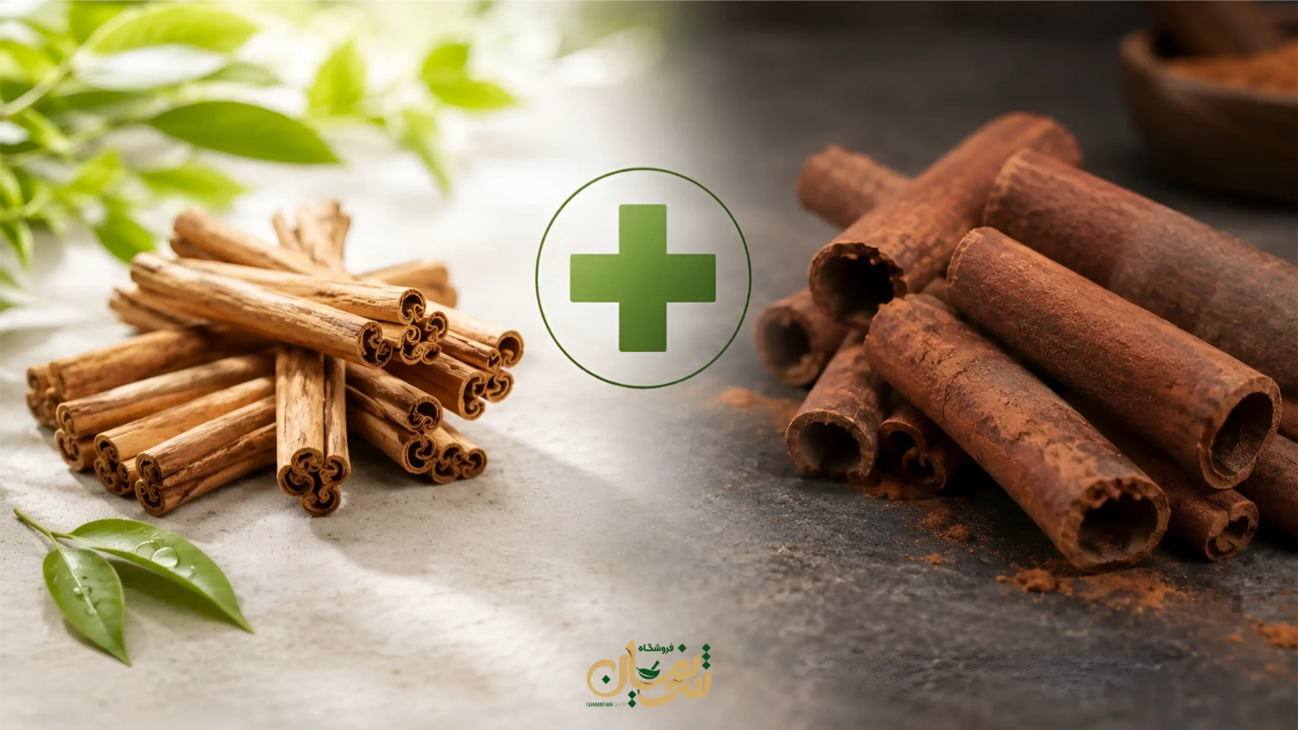 انواع چوب دارچین وکاربرد آن 4 خواص دارچین برای سلامتی