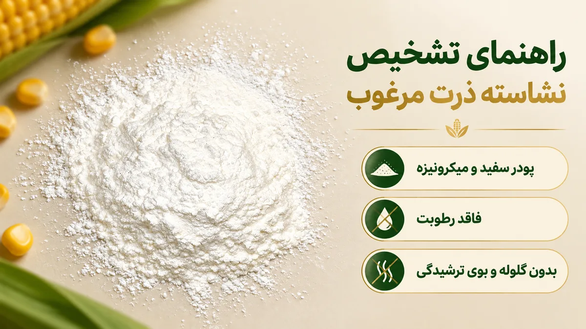 نشاسته ذرت 9 راهنمای تشخیص نشاسته ذرت مرغوب