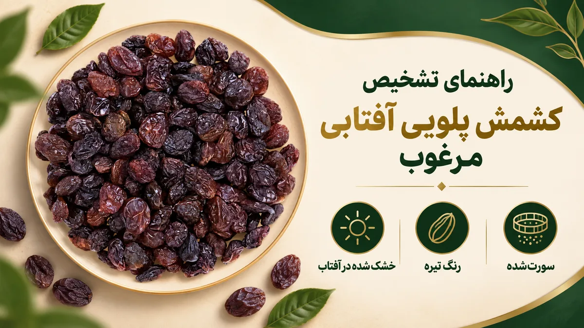 راهنمای تشخیص کشمش پلویی آفتابی مرغوب