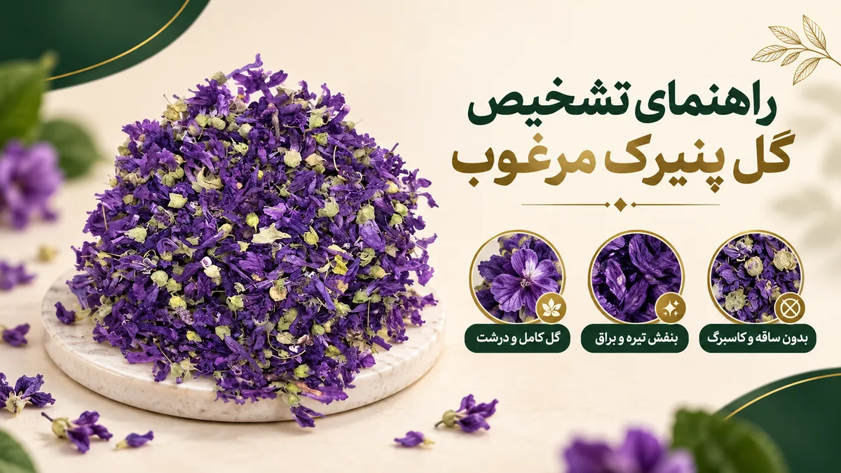 گل پنیرک (ختمی خبازی) 9 راهنمای تشخیص گل پنیرک مرغوب