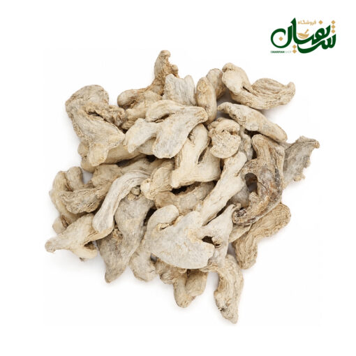 زنحبیل قلم چینی