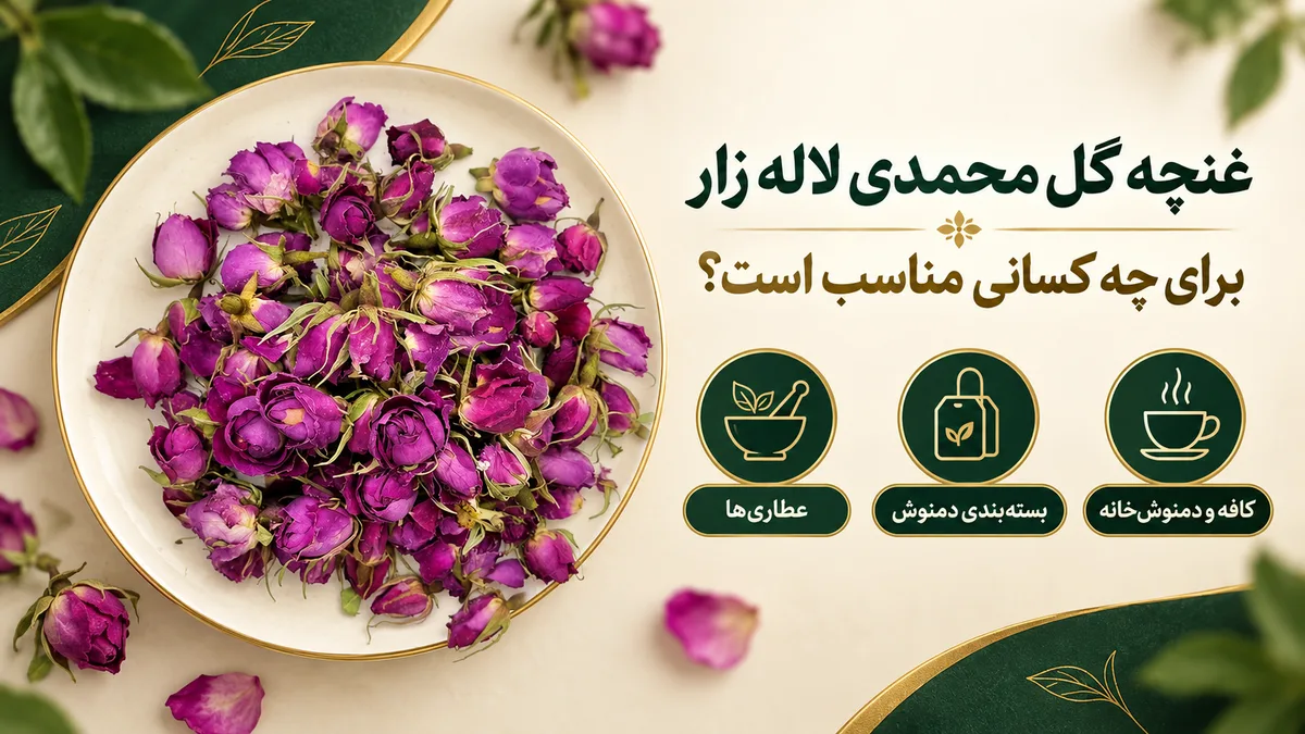 غنچه گل محمدی لاله‌زار برای چه کسانی مناسب است؟