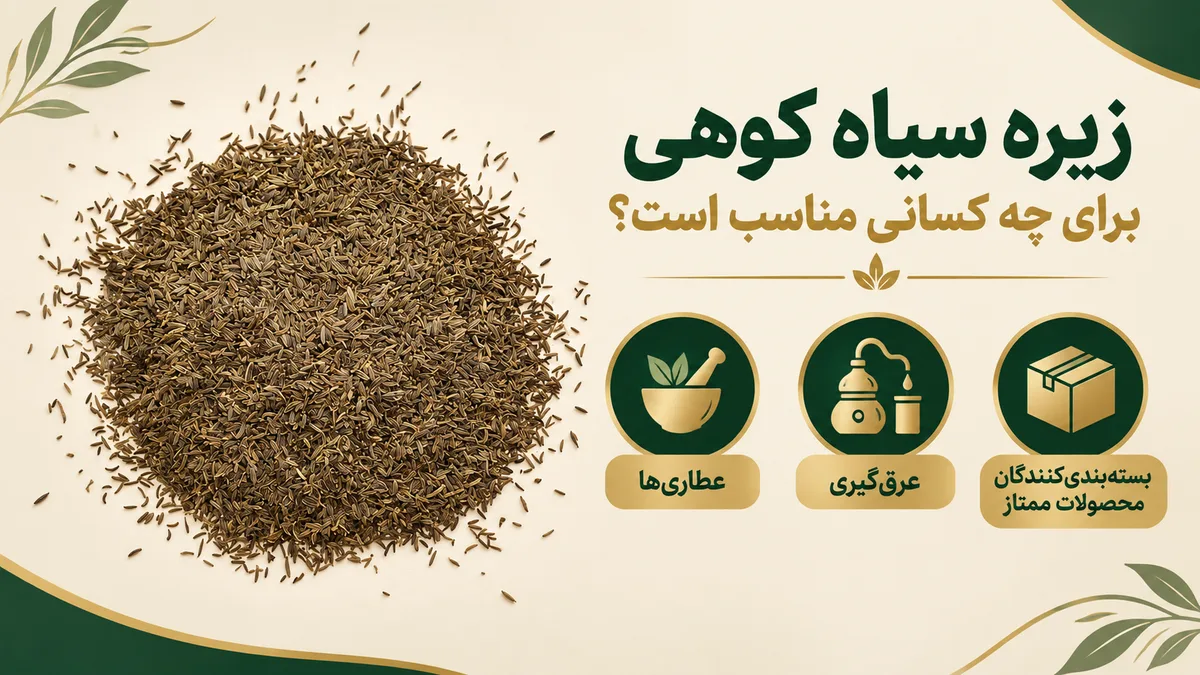 زیره سیاه کوهی برای چه کسانی مناسب است؟