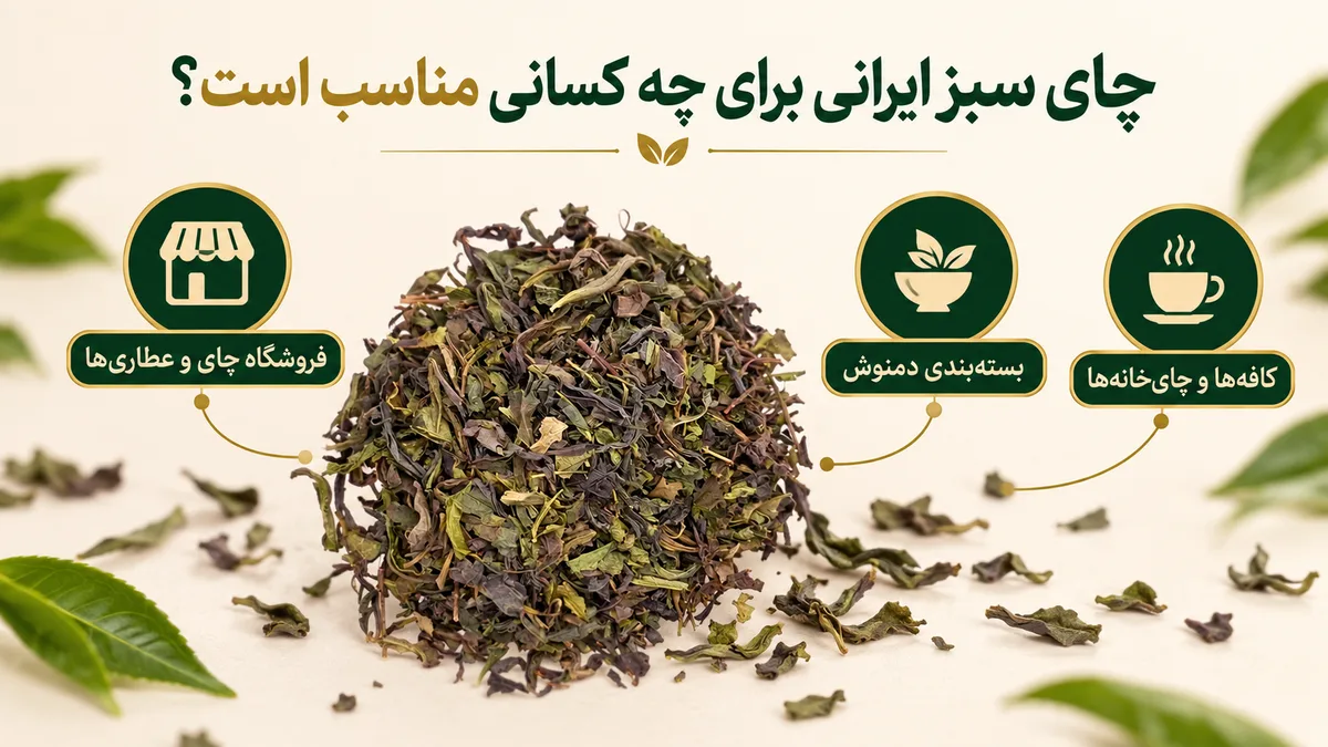 چای سبز ایرانی برای چه کسانی مناسب است؟ چای سبز ایرانی برای چه کسانی مناسب است؟