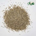 تخم شوید