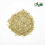 تخم گشنیز