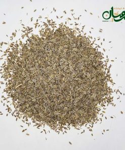 تخم شوید