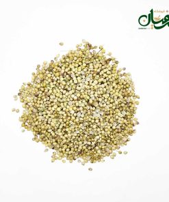 تخم گشنیز