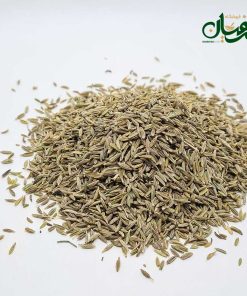 Alternative view of زیره سبز