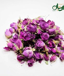 Alternative view of غنچه گل محمدی لاله زار