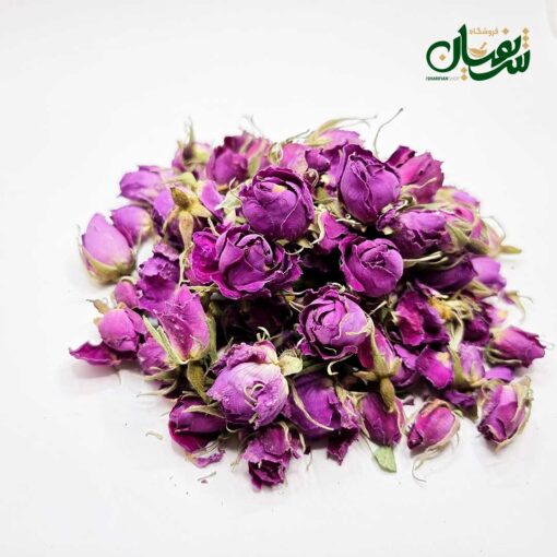 Alternative view of غنچه گل محمدی لاله زار