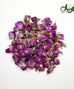 غنچه گل محمدی لاله زار