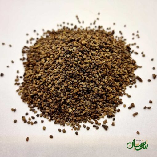 Alternative view of مغز هل (تخم هل یا دانه هل)