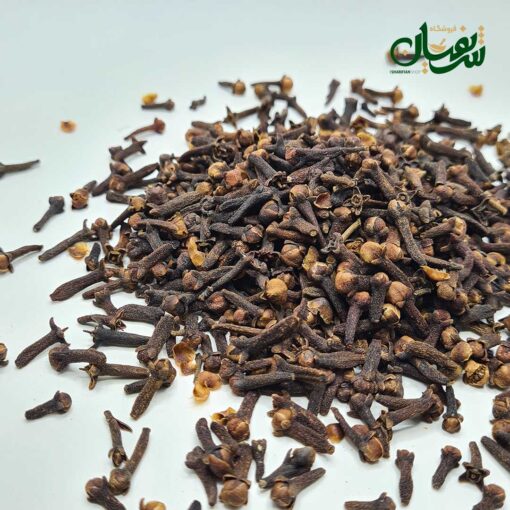 Alternative view of میخک ناساب