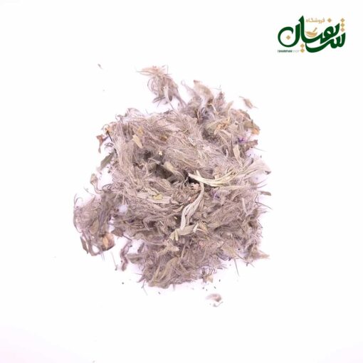 چای کوهی