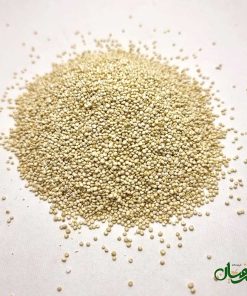 کینوا سفید