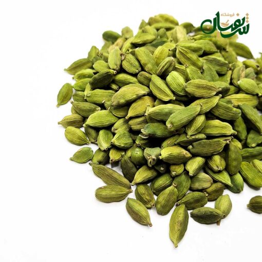 هل اکبر سبز 100 گرمی 5 خرید هل اکبر سبز