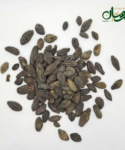 هلیله سیاه