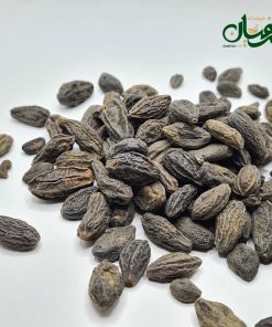 Alternative view of هلیله سیاه