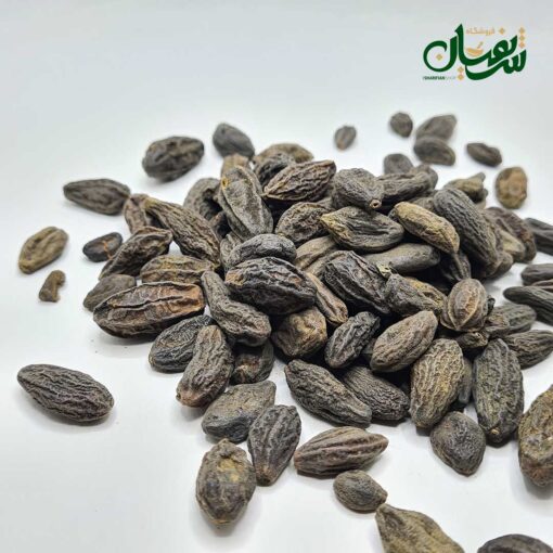 Alternative view of هلیله سیاه
