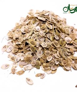 Alternative view of گلپر ناساب