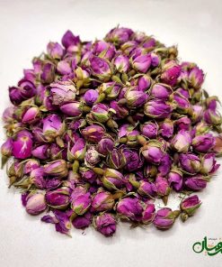 غنچه گل محمدی داراب