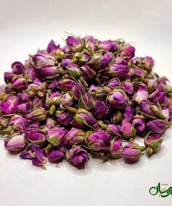 Alternative view of غنچه گل محمدی داراب