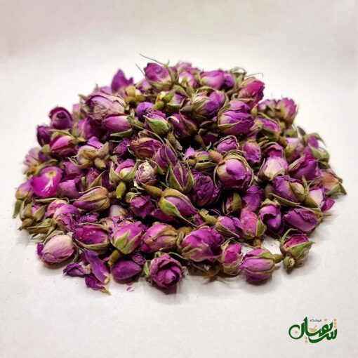 Alternative view of غنچه گل محمدی داراب