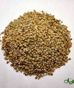 سماق قهوه ای ناساب