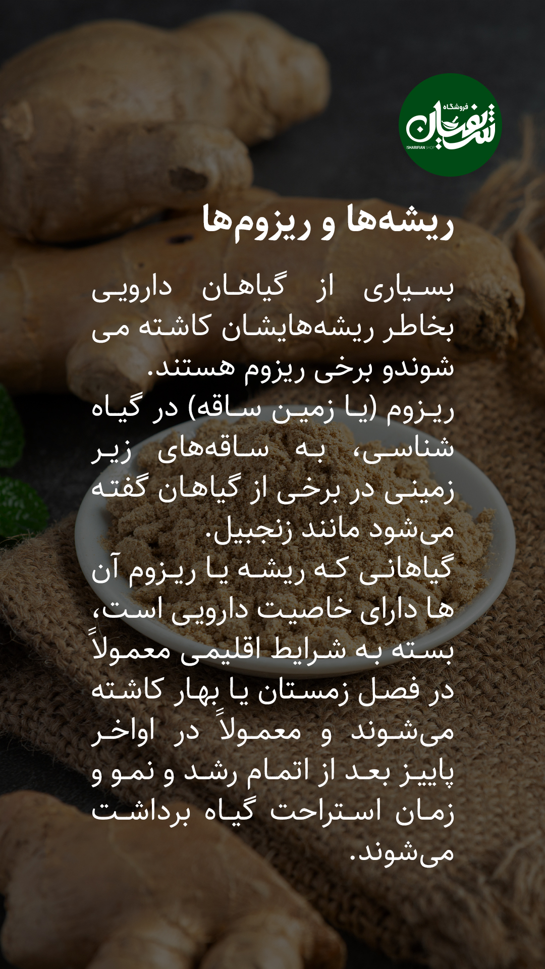 انواع گیاهان دارویی چه زمانی برداشت میشوند؟! 2 برداشت گیاهان دارویی