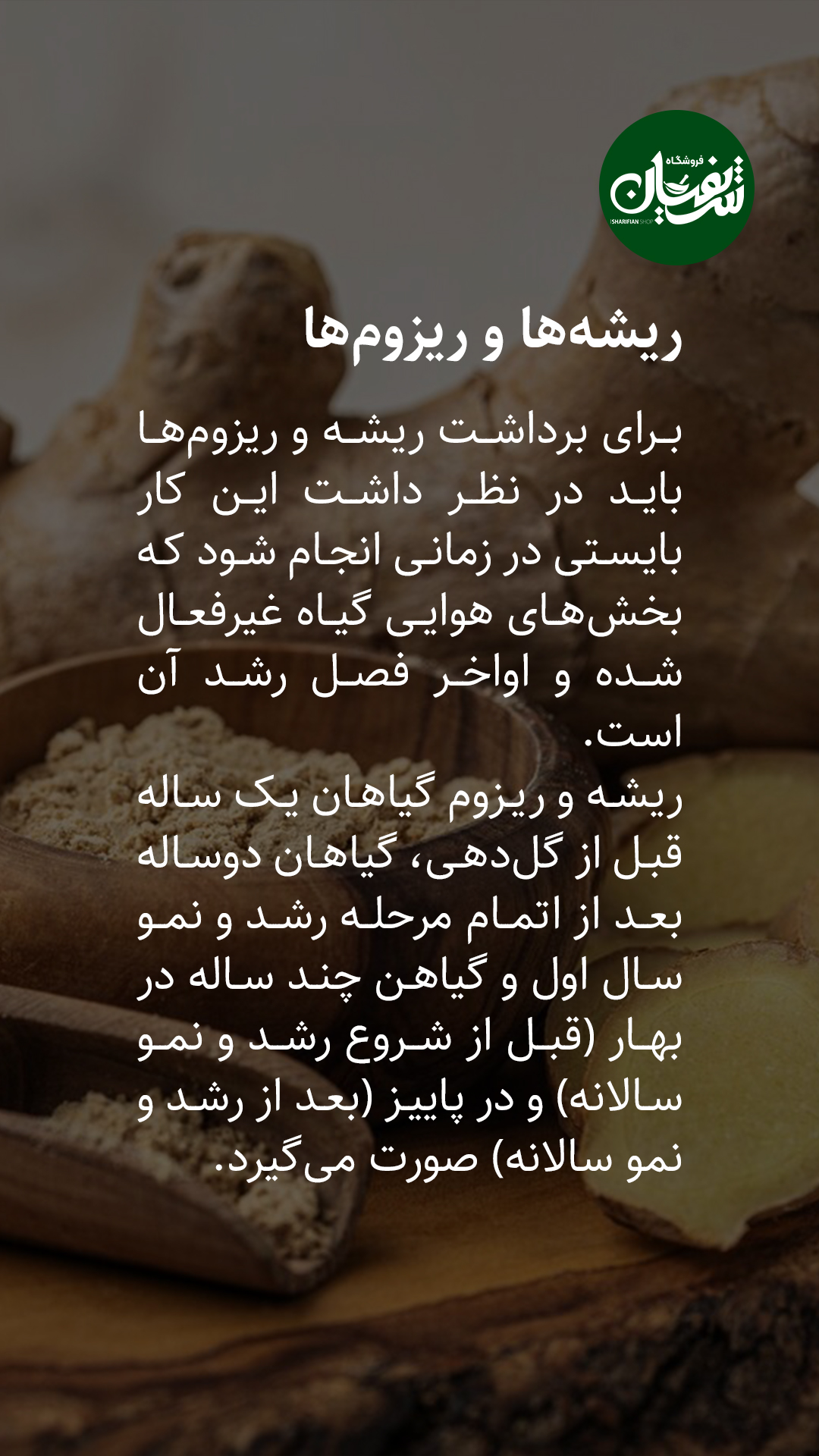 انواع گیاهان دارویی چه زمانی برداشت میشوند؟! 4 برداشت گیاهان دارویی