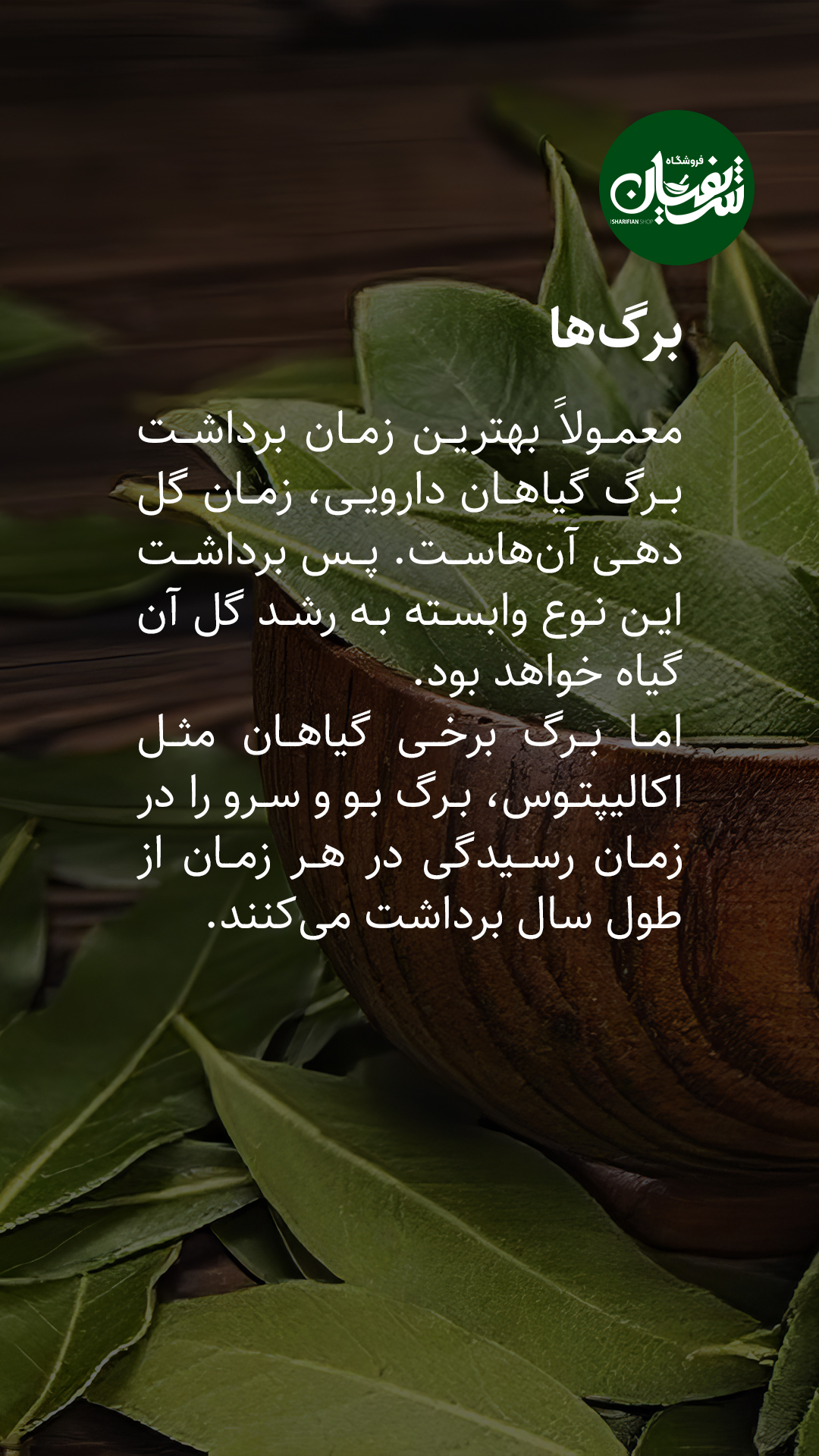 انواع گیاهان دارویی چه زمانی برداشت میشوند؟! 6 برداشت گیاهان دارویی