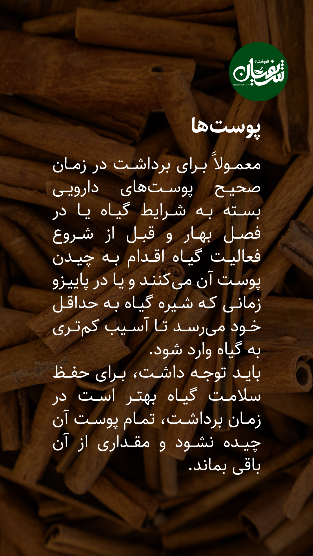 انواع گیاهان دارویی چه زمانی برداشت میشوند؟! 8 برداشت گیاهان دارویی