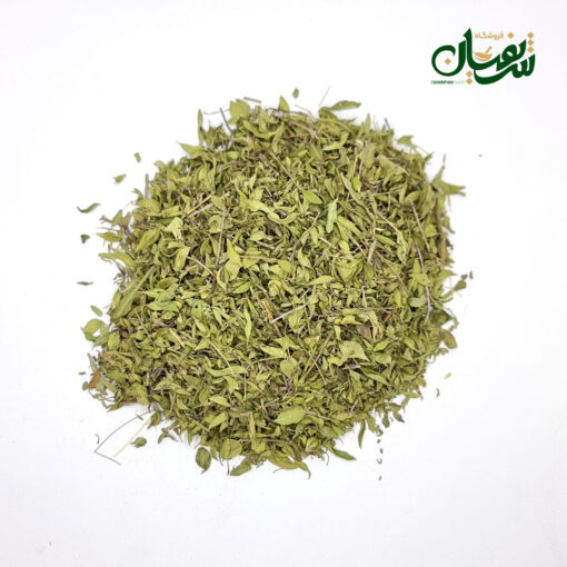 کاکوتی