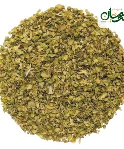 اورگانو برگ