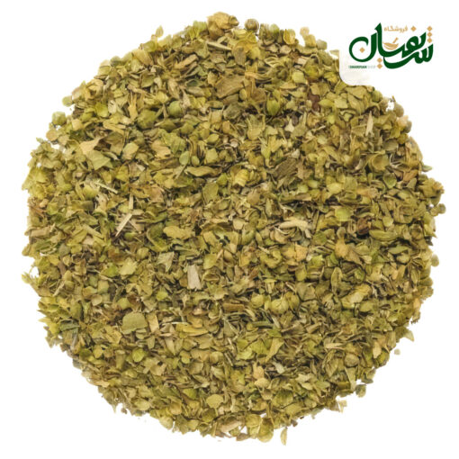اورگانو برگ