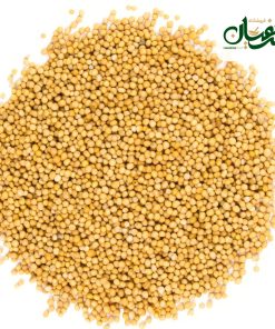 دانه خردل زرد هندی