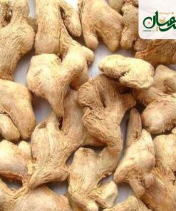 زنجبیل قلم ممتاز چینی (زنجبیل چینی کارتنی)
