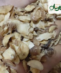 سیر آسیابی