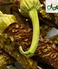 Alternative view of فلفل هالوپینو (فلفل چیلی)
