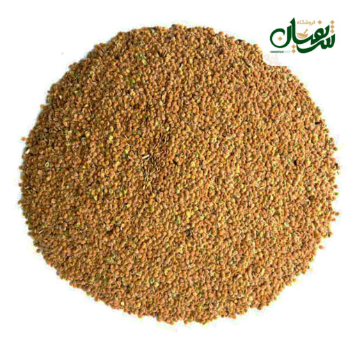 قدومه شهری
