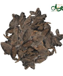 هل باد