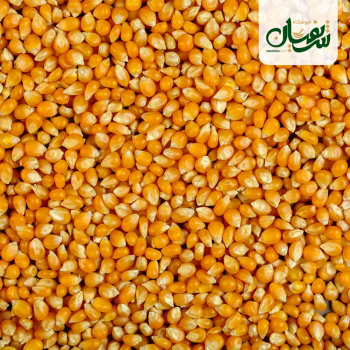 Alternative view of پاپ کرن (ذرت بو داده)
