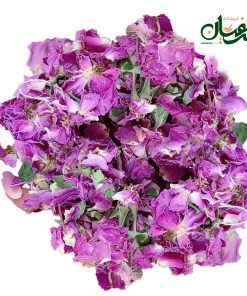گل محمدی باز