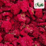 گلنار فارسی