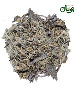 اسطوخودوس خارجی
