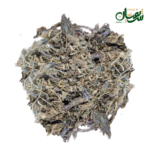 اسطوخودوس خارجی