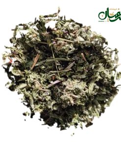 پونه کوهی